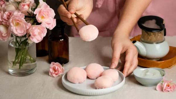 Mochi Eğitimi